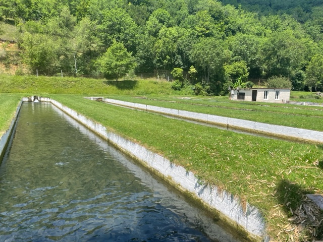 Pisciculture du Gouffre du Blagour